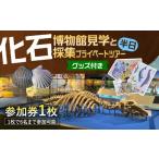 体験チケット 化石博物館 見学と化石採集プライベートツアー