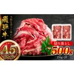 ふるさと納税 牛肉 すき焼き 岐阜県 瑞浪市 A5等級 飛騨牛 切り落とし 500g (250g×2P) 瑞浪市 ／ マルチョウ渡辺精肉店 牛肉 和牛 国産 岐阜県 飛騨牛牛肉 飛…