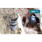 食器 グラス 茶碗 サステナブル オオクワガタ