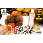 菓子 奄美ジュース グァバ &アンダギーセット