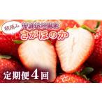 あまい果汁溢れる 最高級品質”さがほのか”