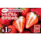 果物類 いちごさん&さがほのか食べ比べセット