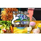 うなぎ 渥美半島の恵み どうまい 定期便 全5回