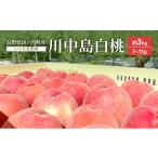 ふるさと納税 もも 長野県 山ノ内町  2026年8月〜発送 桃　川中島白桃　約3kg もも フルーツ 果物 お取り寄せ 長野県 山ノ内町