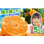 果物類 みかん 南 2026年12月中旬~発送