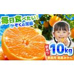 果物類 みかん 南 2026年12月中旬~発送