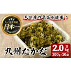 加工品等 漬物 九州たかな 計2kg