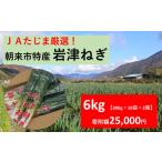野菜類 ねぎ JAたじま厳選 特産 岩津ねぎ 6kg