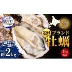 ふるさと納税 牡蠣 生牡蠣 北海道 厚岸町 11月配送 訳あり ハーフ 規格外 牡蠣 北海道厚岸産 殻付カキ 約2kg（11〜25個）カキナイフ付 生食 魚貝類 生牡蠣 か…