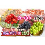 ぶどう マスカット 食べきり 新鮮 旬のフルーツ5回定期便〈…