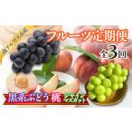 ぶどう おいしいくだもの3回定期便〈くだもの