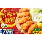 牡蠣 全3回定期便 冷凍 大人なカキフライ