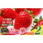 ふるさと納税 いちご 奈良県 平群町 平群の古都華 2L〜3Lサイズ 1ケース (2パック) | 先行予約 フルーツ 果物 くだもの ブランド いちご 苺 古都華 ことか …