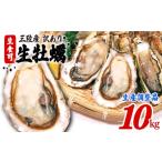 ふるさと納税 牡蠣 生牡蠣 岩手県 大船渡市  次期生産に向けた在庫調整品 生食可 殻付き 牡蠣 訳あり 数量限定 冷凍 10kg かき カキ kaki 冷凍 岩手県産 殻付…