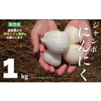 人参 大根 他根菜 ジャンボにんにく 1kg