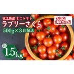 fu.... налог помидор мини помидоры Shizuoka префектура ... город мини помидоры 1.5kg (500g × 3 раз ) фрукты помидор Rav Lee Sakura . кроме того, . есть перевод предварительный заказ прием отправка можно выбрать...