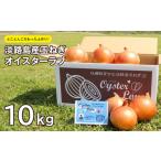 ふるさと納税 野菜類 玉ねぎ 兵庫県 淡路市 淡路島産玉ねぎオイスターラブ 10kg箱