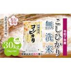 ふるさと納税 無洗米 山形県 真室川町 令和7年産米先行受付 真室川町産 こしひかり 無洗米 定期便 30kg (5kg×1ヶ月間隔で6回お届け) 配送時期指定可
