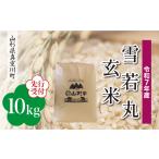 ふるさと納税 玄米 山形県 真室川町 令和7年産米先行受付 真室川町産 雪若丸 玄米 10kg (10kg×1袋) 配送時期指定可