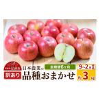 ふるさと納税 りんご 青森県 弘前市 25年9月発送 りんご 定期便6ヶ月 平均糖度12.5度以上 訳あり品種おまかせ 約3kg 9月〜2月 6回分 先行受付 青森 果物 フル…