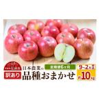 ふるさと納税 りんご 青森県 弘前市 25年9月発送 りんご 定期便6ヶ月 平均糖度12.5度以上 訳あり品種おまかせ 約10kg 9月〜2月 6回分 先行受付