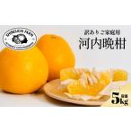 ふるさと納税 みかん�