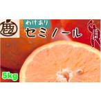 みかん 柑橘類 オレンジ セミノール 5kg+250g