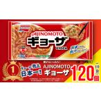 ふるさと納税 惣菜・レトルト 冷凍 佐賀県 佐賀市 AJINOMOTOギョーザ 10袋 ぎょうざ 120個 味の素 冷凍食品 餃子 簡単調理 加工食品 惣菜 冷凍 佐賀市：B130-0…
