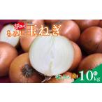 新玉ねぎ 約10kg