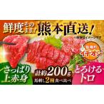 馬肉 令和8年度熊本地震復興支援 馬刺し