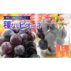 種なしピオーネ 約1kg