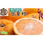 果物類 みかん 甘夏柑 10kg+250g
