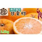 果物類 みかん 甘夏柑 2.5kg+250g