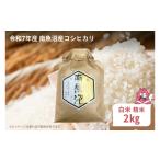 ふるさと納税 米 コシ