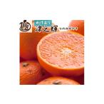 ふるさと納税 みかん・柑橘類 オレンジ 和歌山県 美浜町  2月より発送 家庭用 津之輝10kg+250g（傷み補償分）つのかがやき｜わけあり・訳あり 光センサー選別 …