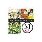 花 苗木 武蔵 ガーデンマムセット12ポット