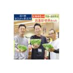 セット 詰合せ 定期便6か月 道の駅まくらがの里古河