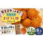 焼菓子 チョコレート マドレーヌ 全3回定期便