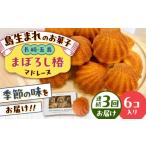 焼菓子 チョコレート マドレーヌ 全3回定期便