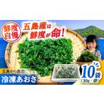 のり 海藻 五島産あおさ 30g×10袋