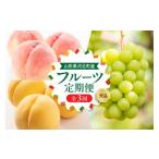 ふるさと納税 もも 山形県 河北町  令和8年産 8月から人気フルーツをお届け お取り寄せフルーツ定期便 3回 (白桃・黄桃・シャインマスカット) 山形eLab ka074-…