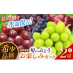 ぶどう マスカット 10月上旬~受付開始