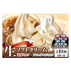 ふるさと納税 菓子 アイス 北海道 豊富町 生ソフトクリーム 芳醇ミルク／カフェオレ＆ミルク 計10個
