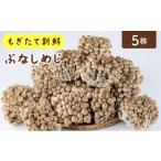 fu.... налог овощи вид .. . Fukuoka префектура большой дерево блок .. длина свежий .. симедзи 5 АО комплект AT21 5 упаковка 