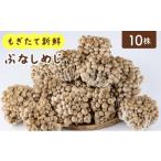 fu.... налог овощи вид .. . Fukuoka префектура большой дерево блок .. длина свежий .. симедзи 10 АО комплект AT22 10 упаковка 