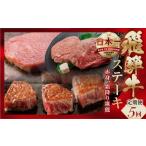 牛肉 ステーキ 定期便 A5 飛騨牛 ステーキ定期便