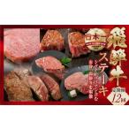 牛肉 ステーキ 定期便 A5 飛騨牛 ステーキ定期便
