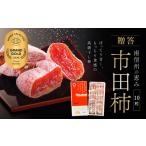 果物類 柿 市田柿 化粧箱入り 個包装 大粒 10粒