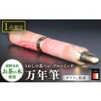文房具 玩具 万年筆 うれしの茶ペン ブルーミング