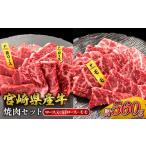 ふるさと納税 牛肉 焼肉・バーベキュー 宮崎県 えびの市 宮崎県産 黒牛 焼肉 赤身 牛肉 焼肉セット ロース 肩ロース モモ 2点盛り 560g(280g × 2パック)焼肉…